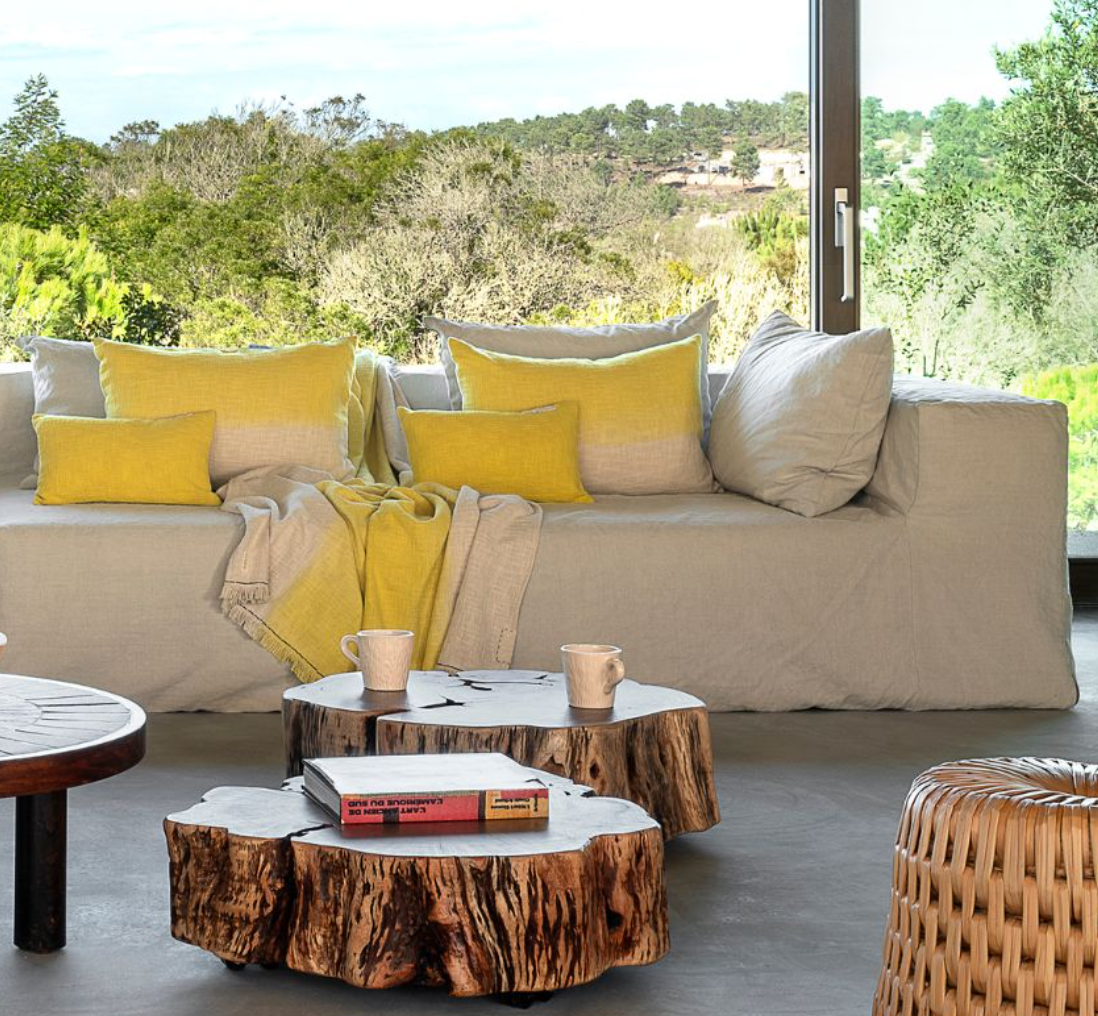 plaid dans le salon et ses coussins